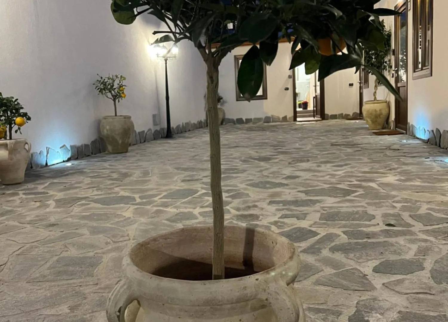 Cedros Apartment Palermo